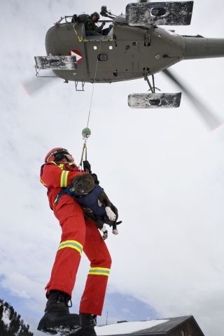 Bildgr&ouml;&szlig;e auf die Monitoraufl&ouml;sung (640x480 px) optimiert