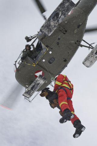 Bildgr&ouml;&szlig;e auf die Monitoraufl&ouml;sung (640x480 px) optimiert