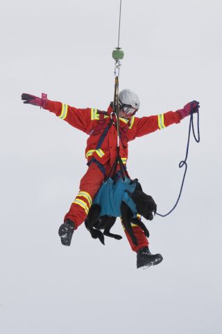 Bildgr&ouml;&szlig;e auf die Monitoraufl&ouml;sung (640x480 px) optimiert