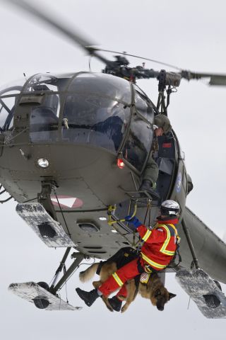 Bildgr&ouml;&szlig;e auf die Monitoraufl&ouml;sung (640x480 px) optimiert