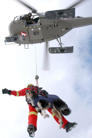 Bildgr&ouml;&szlig;e auf die Monitoraufl&ouml;sung (640x480 px) optimiert