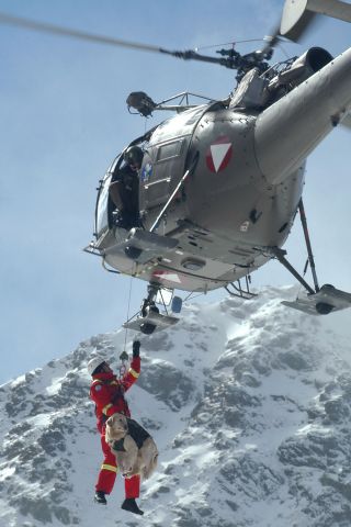 Bildgr&ouml;&szlig;e auf die Monitoraufl&ouml;sung (640x480 px) optimiert