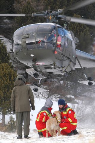 Bildgr&ouml;&szlig;e auf die Monitoraufl&ouml;sung (640x480 px) optimiert