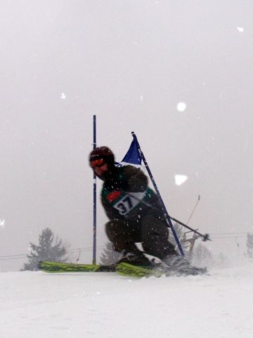 Bildgröße auf die Monitorauflösung (640x480 px) optimiert