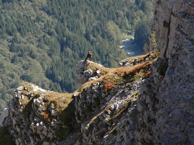 Bildgröße auf die Monitorauflösung (640x480 px) optimiert