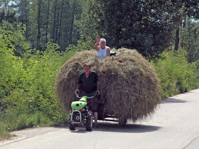 Bildgröße auf die Monitorauflösung (640x480 px) optimiert