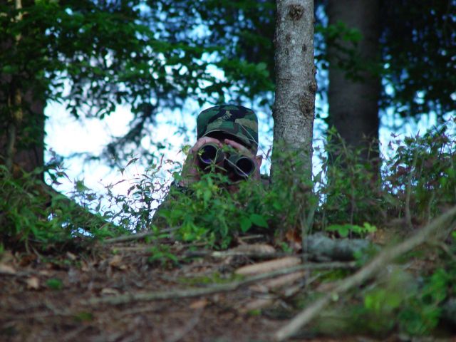 Bildgröße auf die Monitorauflösung (640x480 px) optimiert