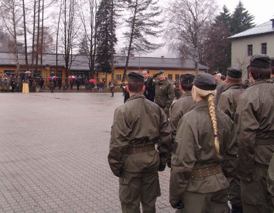 Bildgröße auf die Monitorauflösung (640x480 px) optimiert