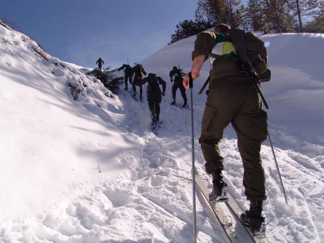 Bildgr&ouml;&szlig;e auf die Monitoraufl&ouml;sung (640x480 px) optimiert