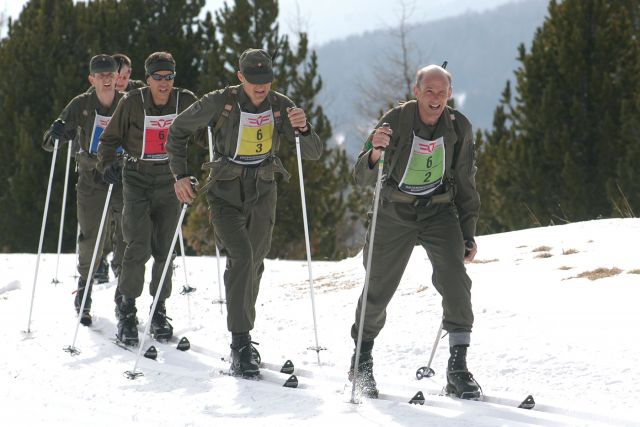 Bildgröße auf die Monitorauflösung (640x480 px) optimiert