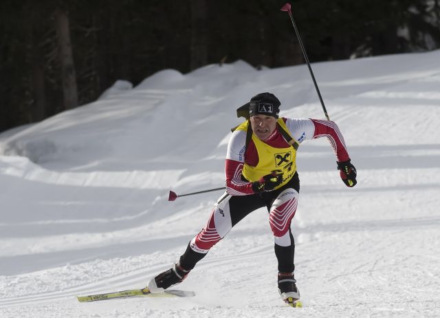 Bildgröße auf die Monitorauflösung (640x480 px) optimiert