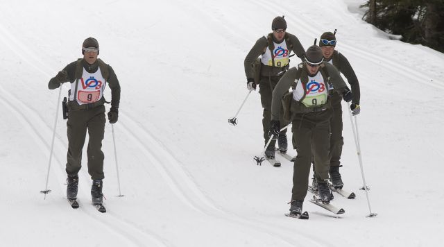 Bildgröße auf die Monitorauflösung (640x480 px) optimiert