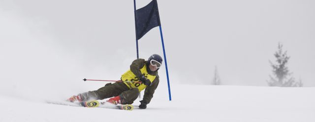 Bildgröße auf die Monitorauflösung (640x480 px) optimiert