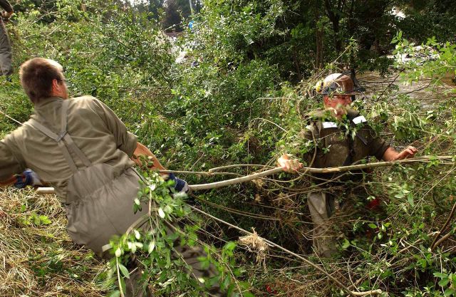 Bildgr&ouml;&szlig;e auf die Monitoraufl&ouml;sung (640x480 px) optimiert