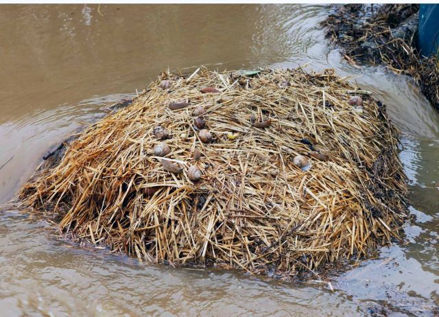 Bildgr&ouml;&szlig;e auf die Monitoraufl&ouml;sung (640x480 px) optimiert