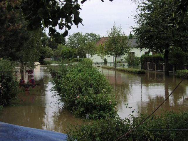 Bildgröße auf die Monitorauflösung (640x480 px) optimiert