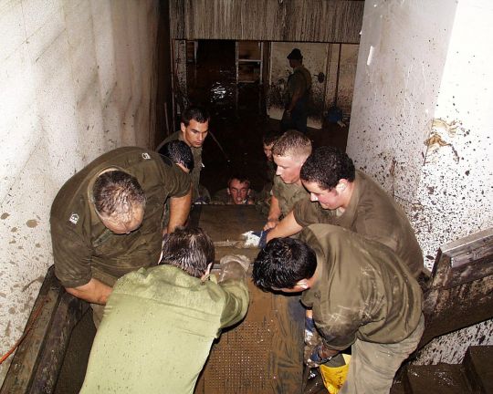 Bildgröße auf die Monitorauflösung (640x480 px) optimiert