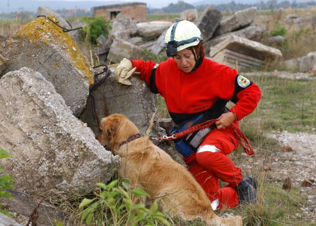 Bildgr&ouml;&szlig;e auf die Monitoraufl&ouml;sung (640x480 px) optimiert
