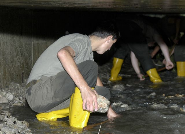 Bildgr&ouml;&szlig;e auf die Monitoraufl&ouml;sung (640x480 px) optimiert