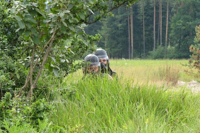 Bildgröße auf die Monitorauflösung (640x480 px) optimiert