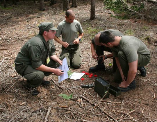 Bildgröße auf die Monitorauflösung (640x480 px) optimiert
