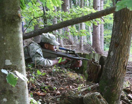 Bildgröße auf die Monitorauflösung (640x480 px) optimiert