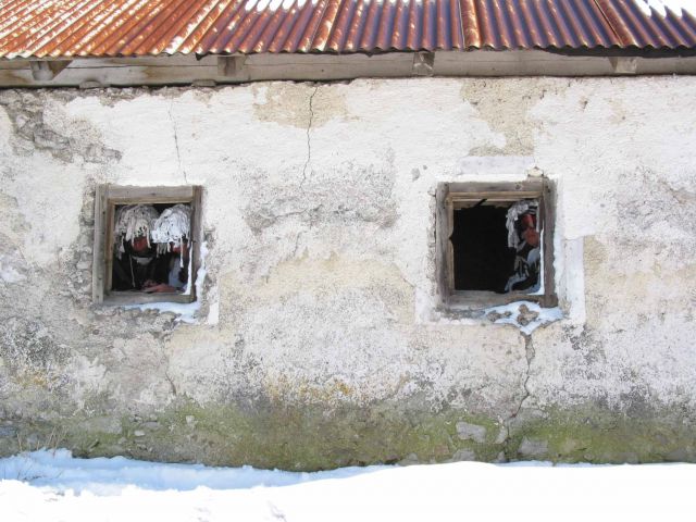 Bildgröße auf die Monitorauflösung (640x480 px) optimiert