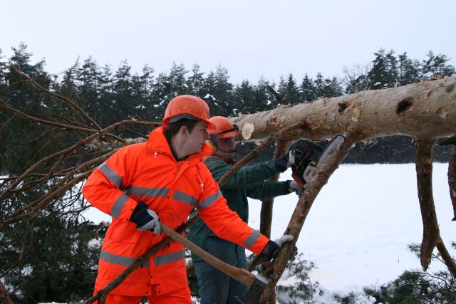 Bildgröße auf die Monitorauflösung (640x480 px) optimiert