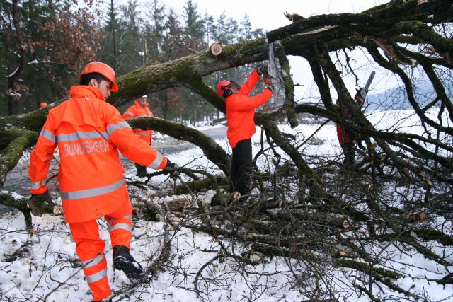 Bildgr&ouml;&szlig;e auf die Monitoraufl&ouml;sung (640x480 px) optimiert