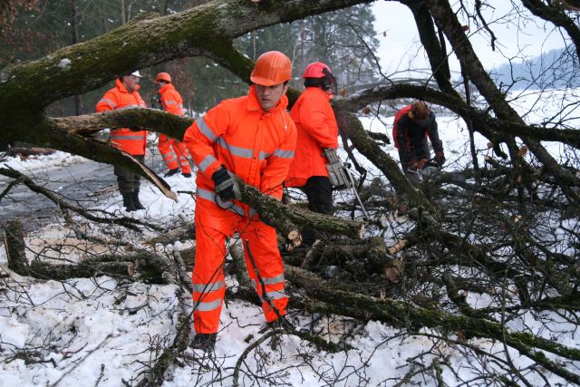 Bildgr&ouml;&szlig;e auf die Monitoraufl&ouml;sung (640x480 px) optimiert