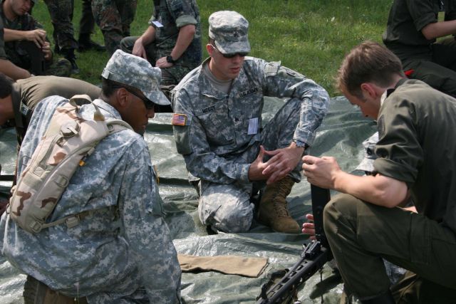 Bildgröße auf die Monitorauflösung (640x480 px) optimiert