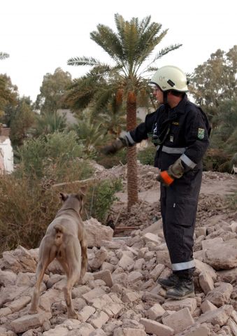 Bildgr&ouml;&szlig;e auf die Monitoraufl&ouml;sung (640x480 px) optimiert