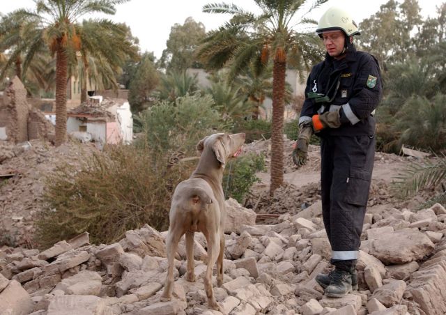 Bildgr&ouml;&szlig;e auf die Monitoraufl&ouml;sung (640x480 px) optimiert