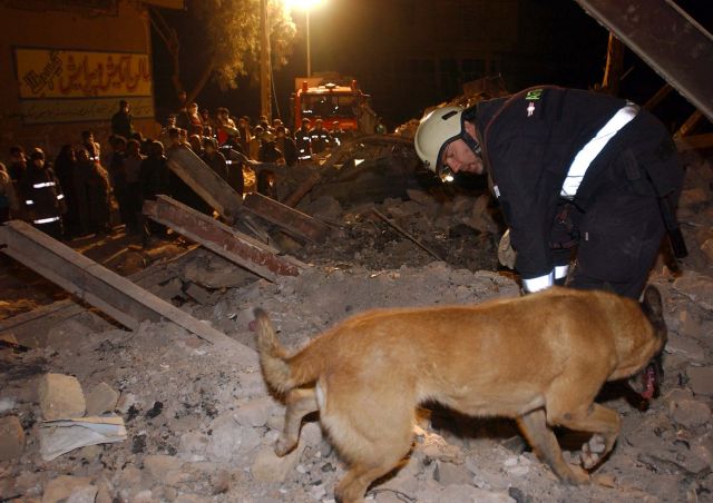 Bildgröße auf die Monitorauflösung (640x480 px) optimiert