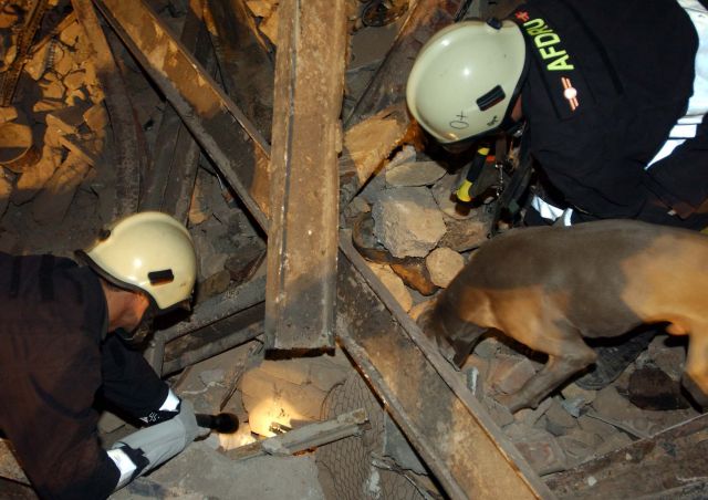 Bildgröße auf die Monitorauflösung (640x480 px) optimiert