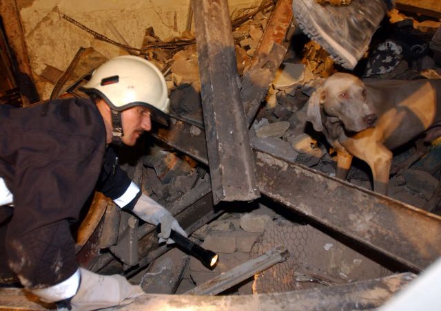 Bildgröße auf die Monitorauflösung (640x480 px) optimiert