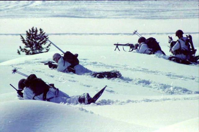 Bildgr&ouml;&szlig;e auf die Monitoraufl&ouml;sung (640x480 px) optimiert