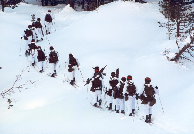 Bildgröße auf die Monitorauflösung (640x480 px) optimiert