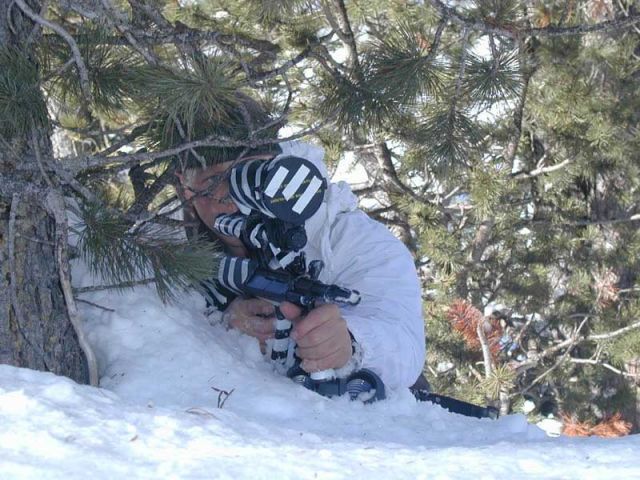 Bildgr&ouml;&szlig;e auf die Monitoraufl&ouml;sung (640x480 px) optimiert