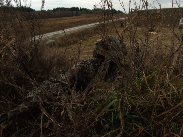 Bildgröße auf die Monitorauflösung (640x480 px) optimiert