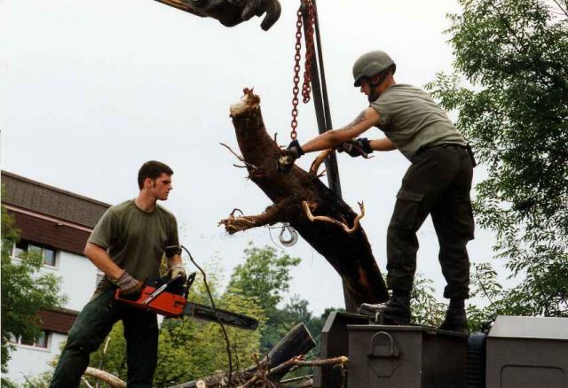 Bildgr&ouml;&szlig;e auf die Monitoraufl&ouml;sung (640x480 px) optimiert