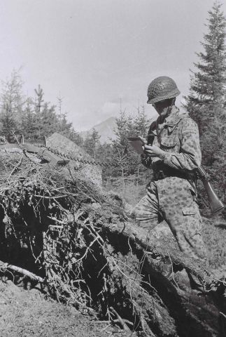 Bildgr&ouml;&szlig;e auf die Monitoraufl&ouml;sung (640x480 px) optimiert