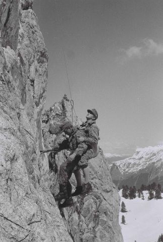 Bildgröße auf die Monitorauflösung (640x480 px) optimiert