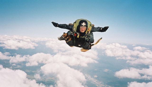 Bildgröße auf die Monitorauflösung (640x480 px) optimiert