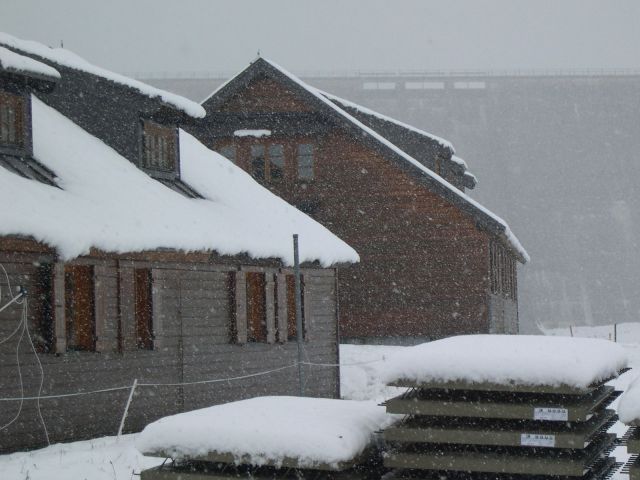 Bildgröße auf die Monitorauflösung (640x480 px) optimiert