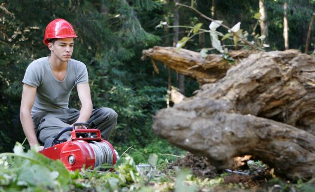 Bildgr&ouml;&szlig;e auf die Monitoraufl&ouml;sung (640x480 px) optimiert