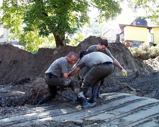 Bildgröße auf die Monitorauflösung (640x480 px) optimiert