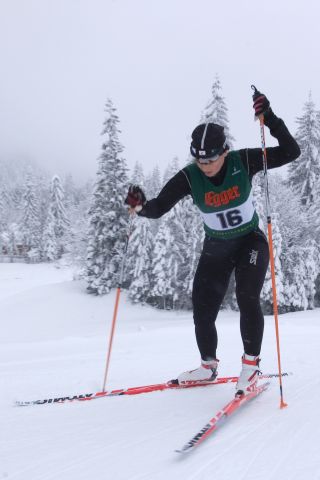 Bildgröße auf die Monitorauflösung (640x480 px) optimiert