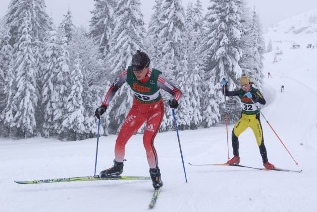 Bildgröße auf die Monitorauflösung (640x480 px) optimiert