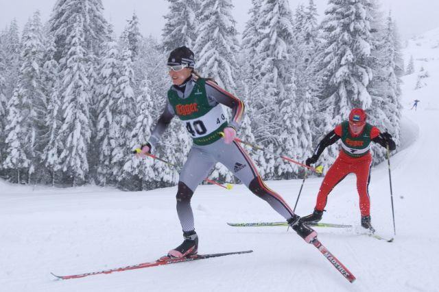 Bildgröße auf die Monitorauflösung (640x480 px) optimiert